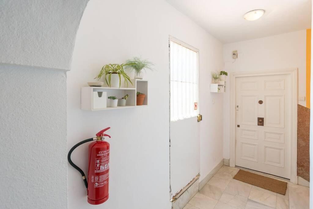 New Catedral Wabi Malaga Apartment Exterior photo